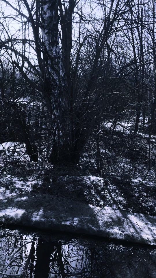 TikTok video thumbnail by bunker777777