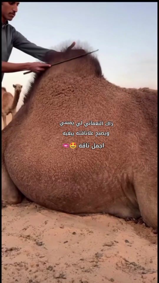 TikTok video thumbnail by n_iosi