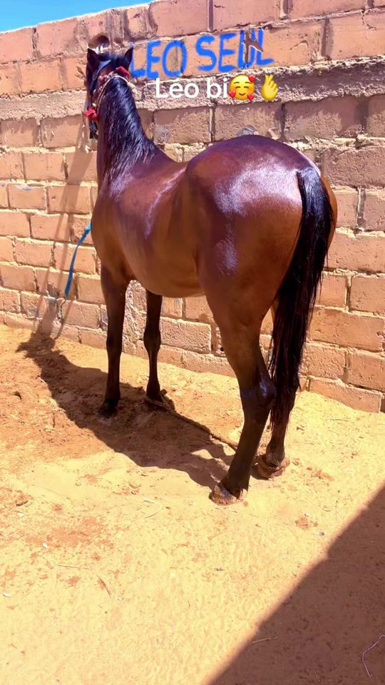 TikTok video thumbnail by ndiaga4560
