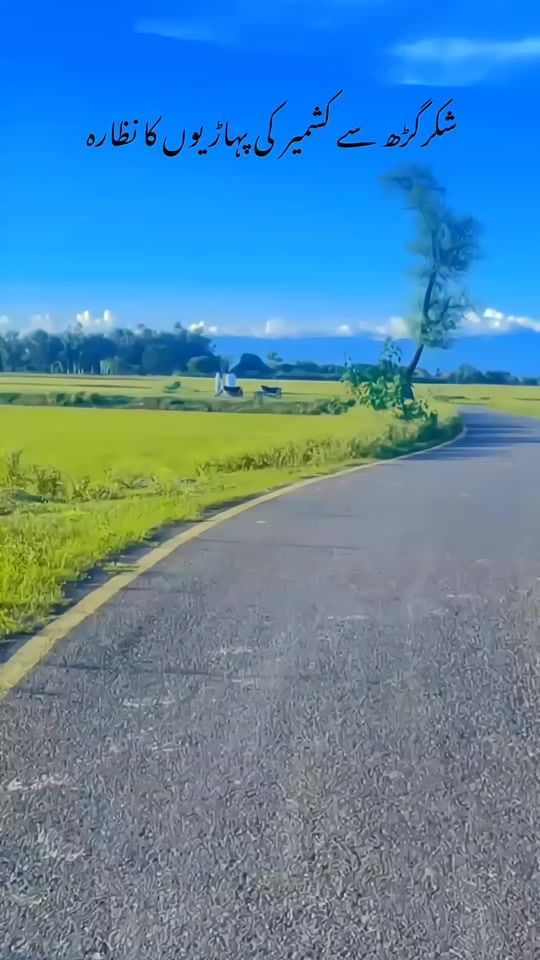 TikTok video thumbnail by queen.333