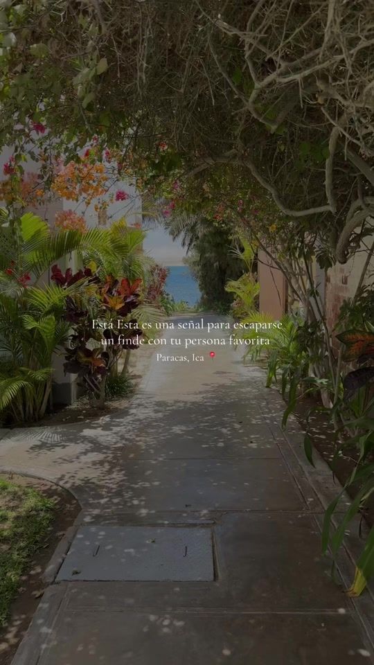 TikTok video thumbnail by mintfluent_