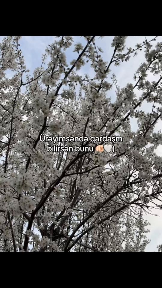 TikTok video thumbnail by editski_777
