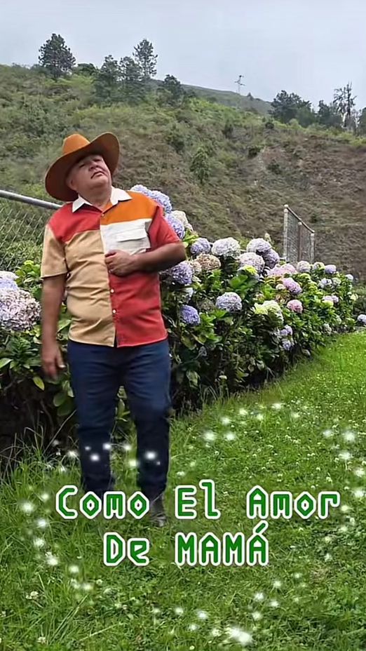 TikTok video thumbnail by fansdeltigrito