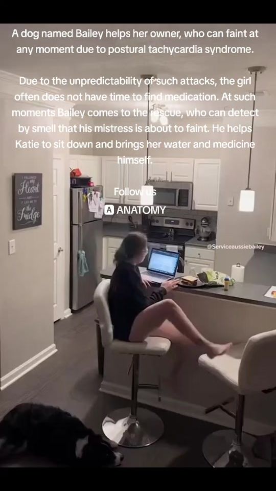 TikTok video thumbnail by anatomy8969