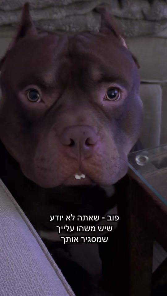 TikTok video thumbnail by the.real.donnn