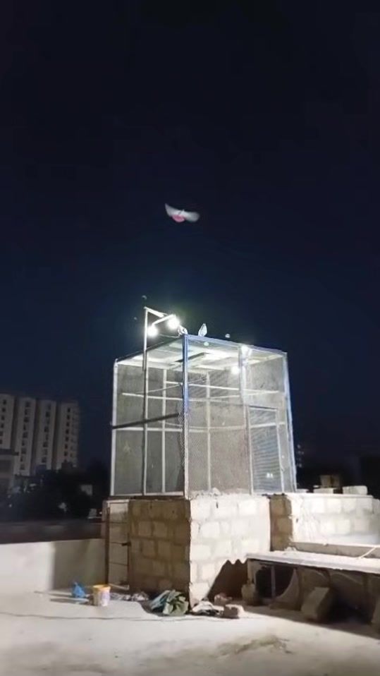 TikTok video thumbnail by mirabdulbaloch