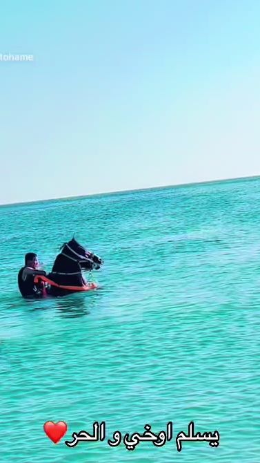 TikTok video thumbnail by ali35altohame