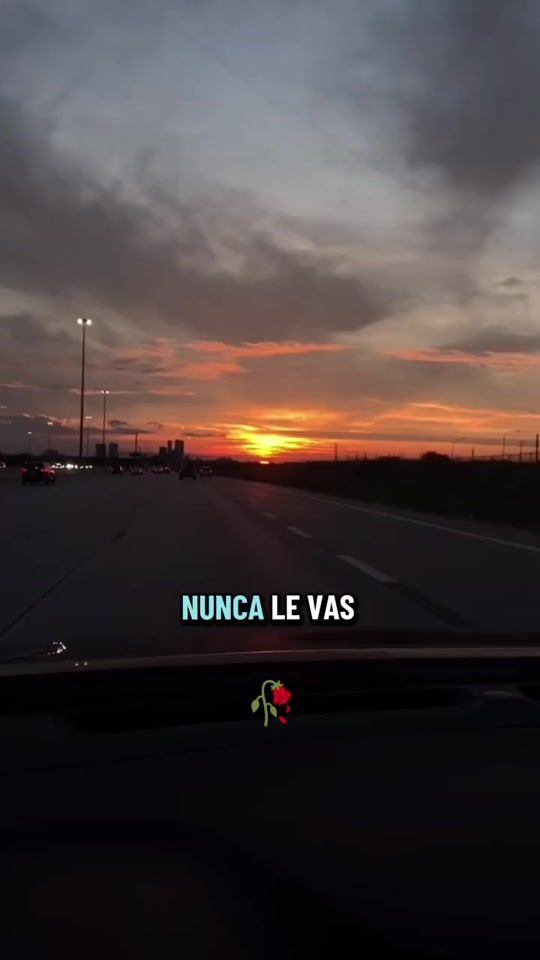TikTok video thumbnail by irremplazable.com009