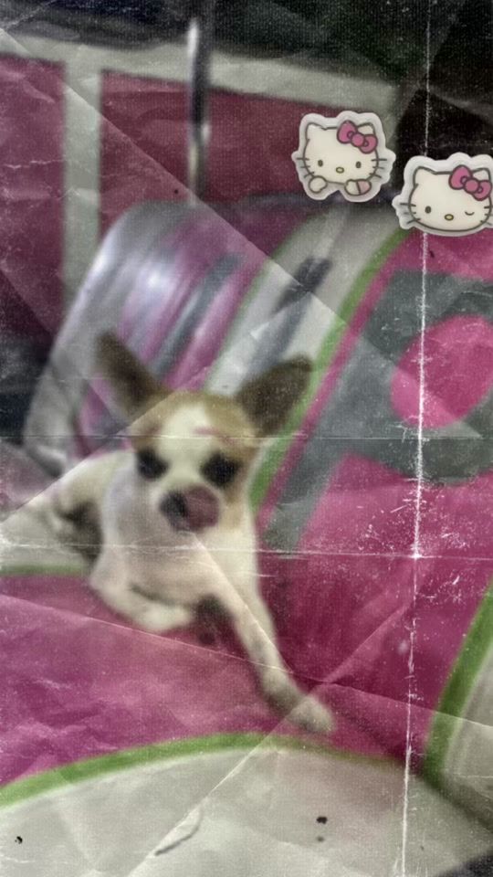TikTok video thumbnail by user23191961