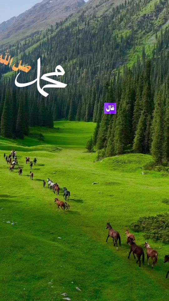 TikTok video thumbnail by dohatamim7