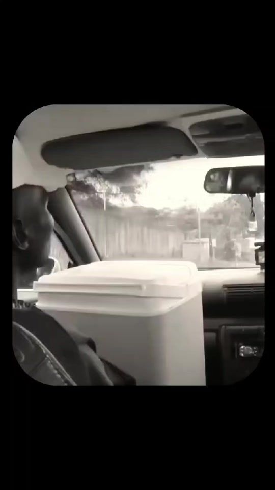 TikTok video thumbnail by random.gir7
