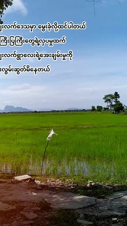 TikTok video thumbnail by phyo.ei.khaing84