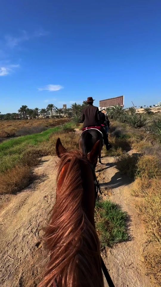 TikTok video thumbnail by horse_bh