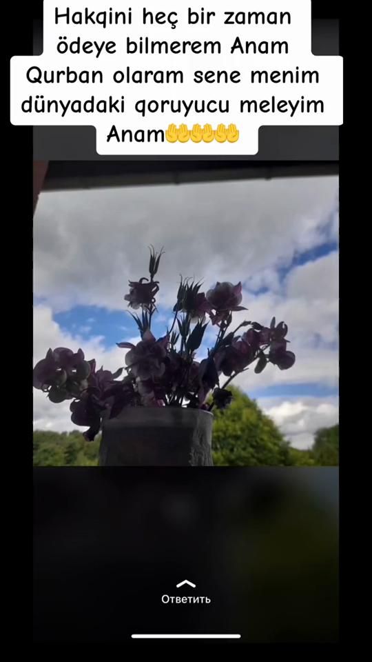 TikTok video thumbnail by raduga_____