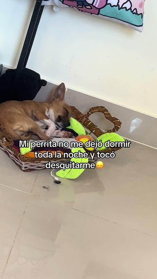 TikTok video thumbnail by roannyfrias9