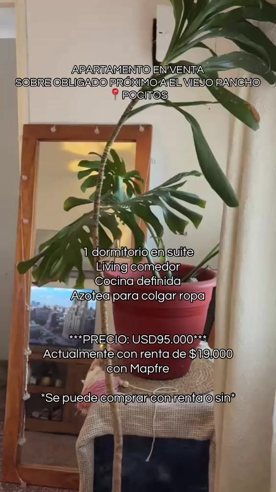 TikTok video thumbnail by valentina.innovar