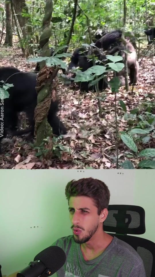 TikTok video thumbnail by yagostephano