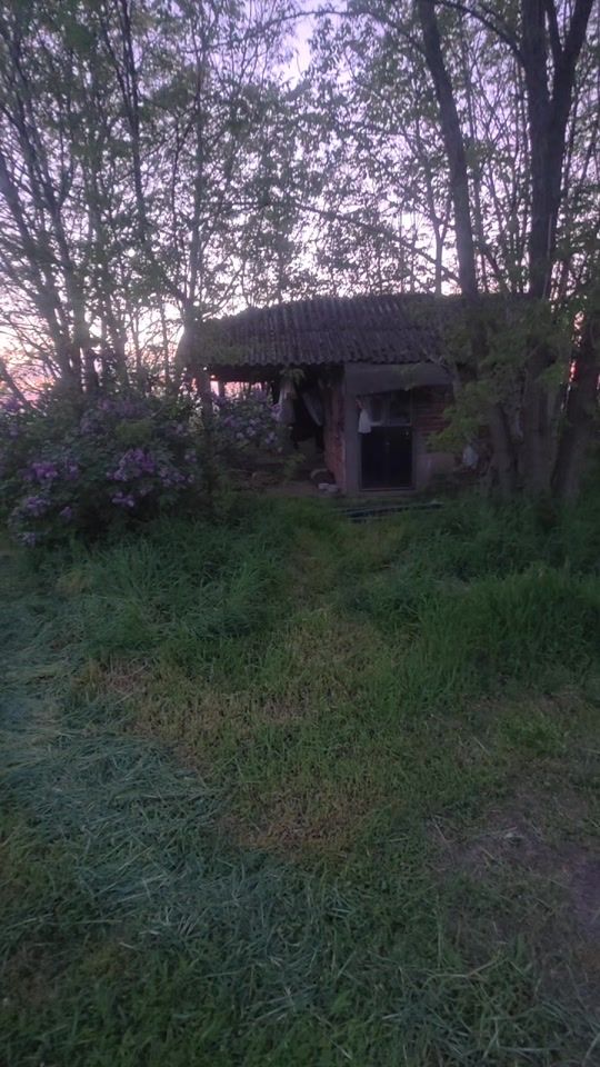 TikTok video thumbnail by goran.jevti