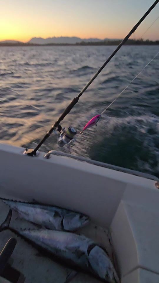 TikTok video thumbnail by licafishingteam