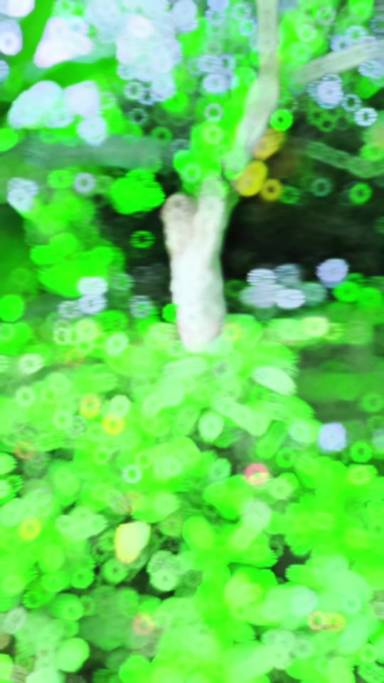 TikTok video thumbnail by antor.official.22