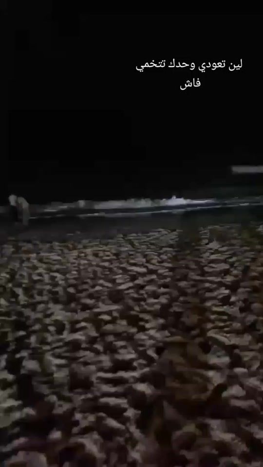 TikTok video thumbnail by user3144566777214