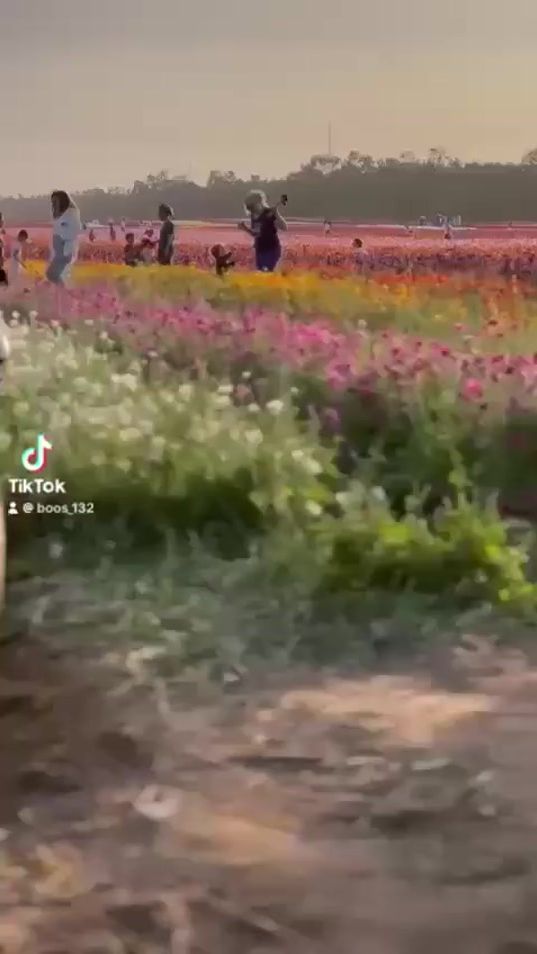 TikTok video thumbnail by skan919