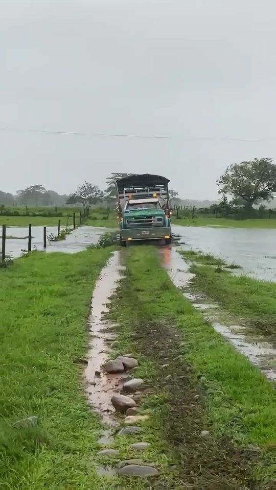 TikTok video thumbnail by trocherostrucks