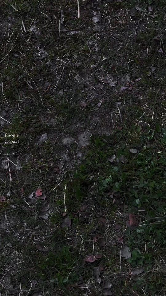 TikTok video thumbnail by vadim_204