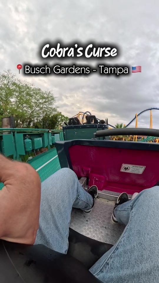 TikTok video thumbnail by sthacosta