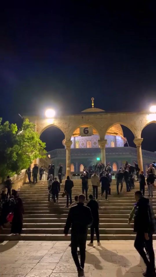 TikTok video thumbnail by al_murshid