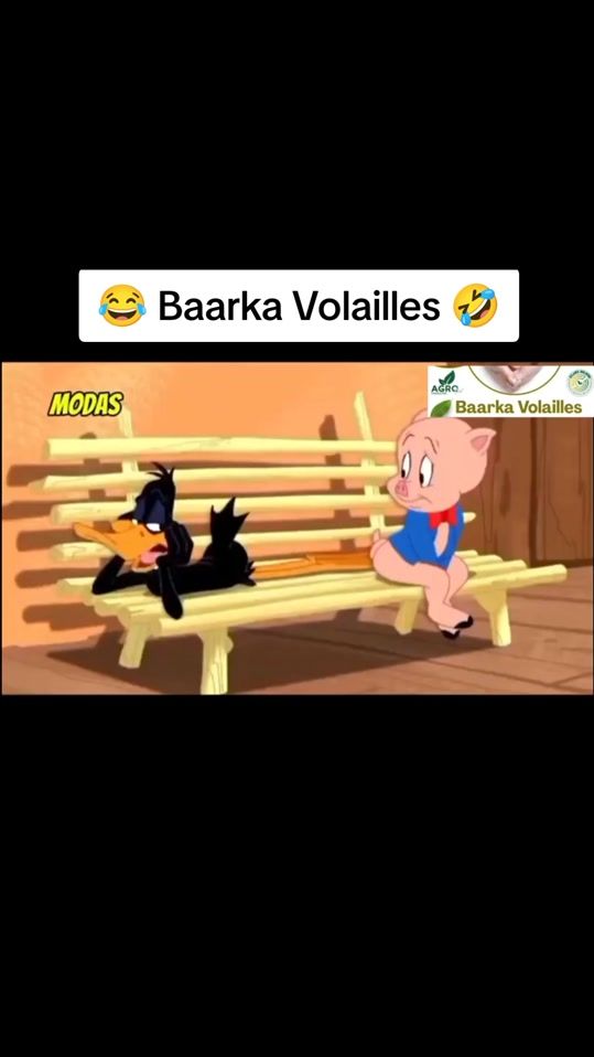 TikTok video thumbnail by modas_226