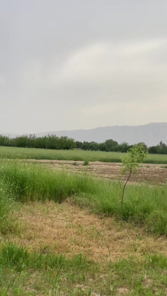 TikTok video thumbnail by razgull_786