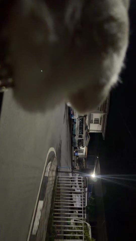 TikTok video thumbnail by she_rab94