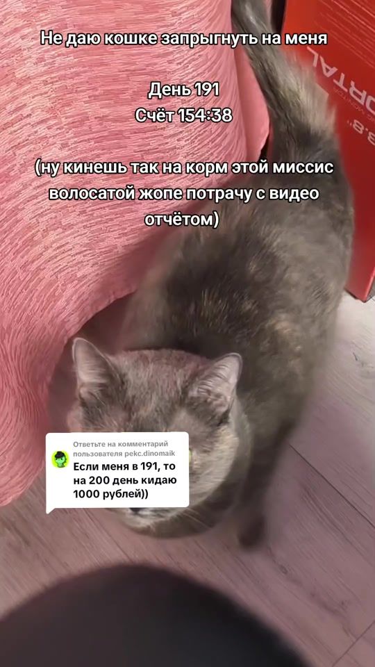 TikTok video thumbnail by serezha.ak