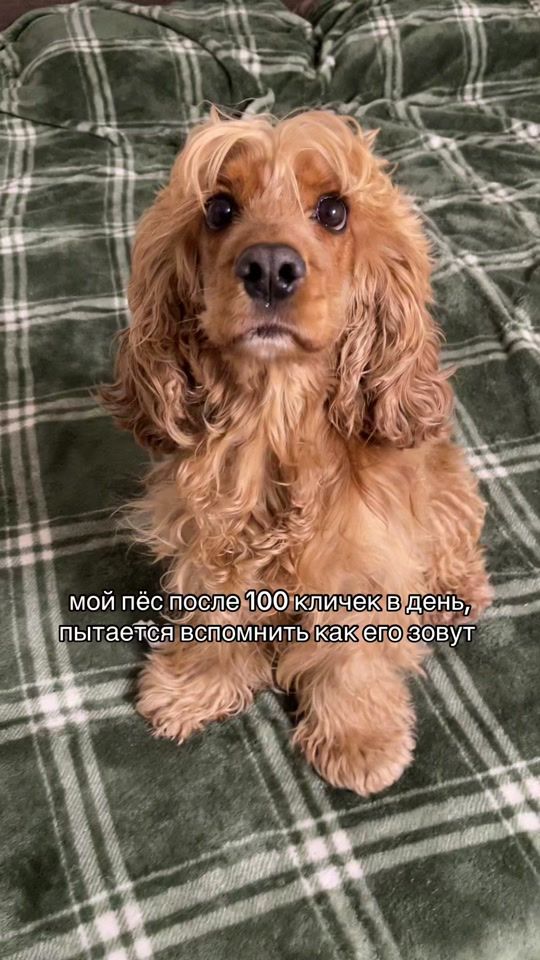 TikTok video thumbnail by ku4uk