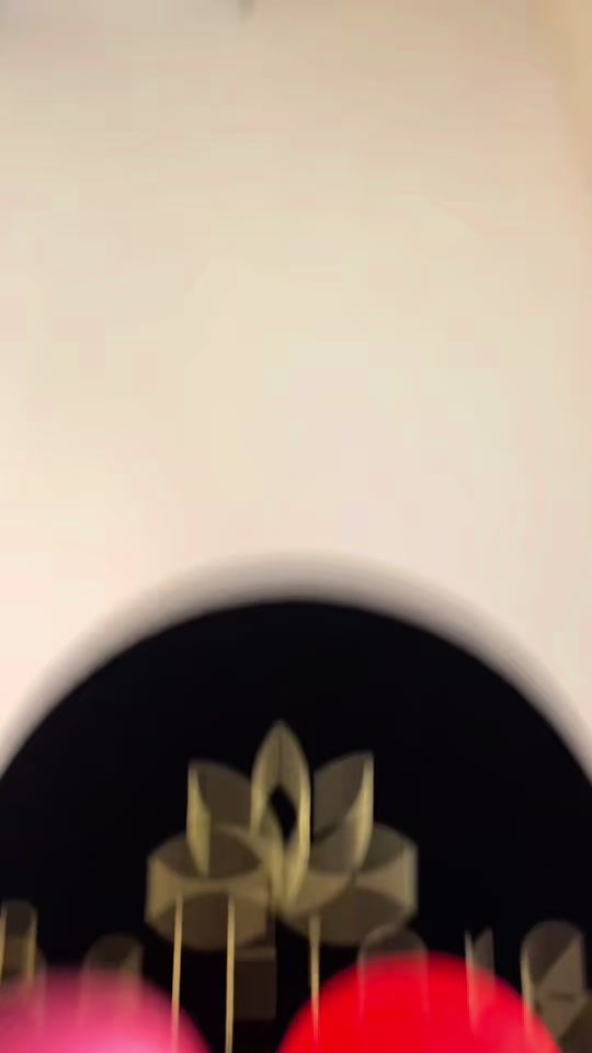 TikTok video thumbnail by floreriabelfiore