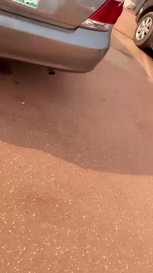 TikTok video thumbnail by grecious142