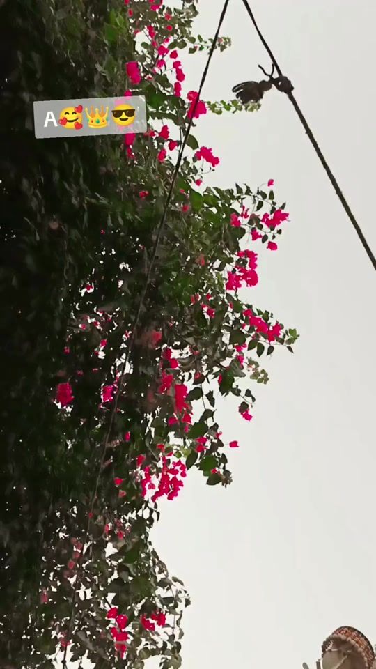 TikTok video thumbnail by sajidsolangi141