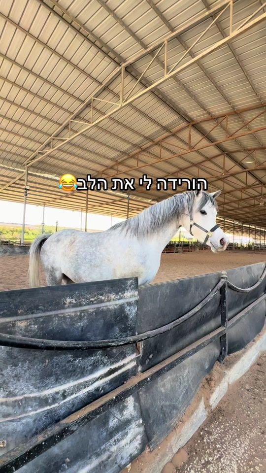 TikTok video thumbnail by shira_masuri