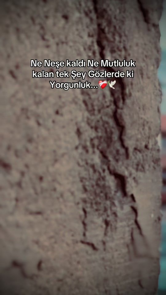 TikTok video thumbnail by xq.serhat34
