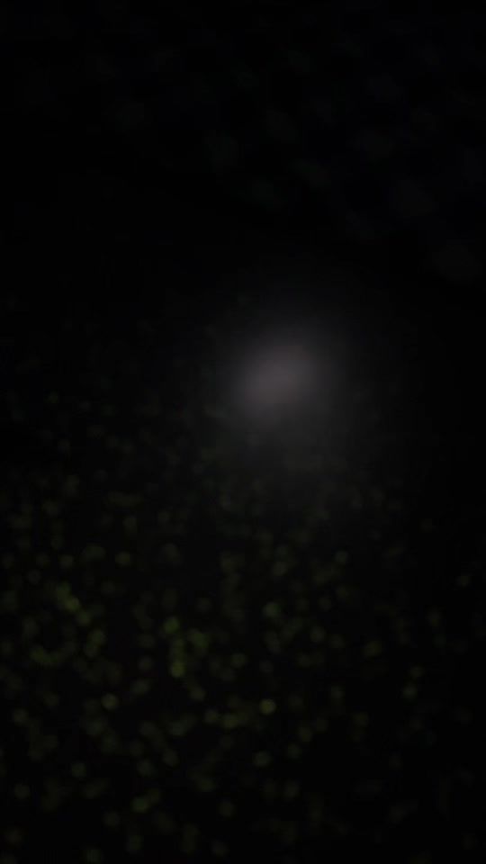 TikTok video thumbnail by jjanggus.trip