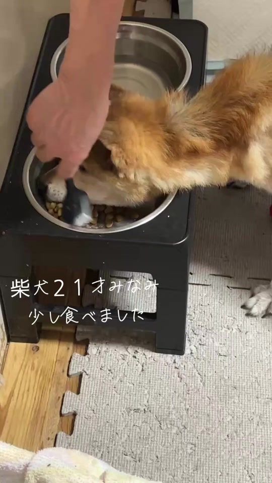 TikTok video thumbnail by powerful.keiko