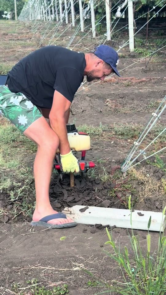 TikTok video thumbnail by ifarms_