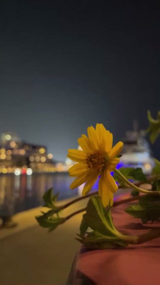 TikTok video thumbnail by agg19900