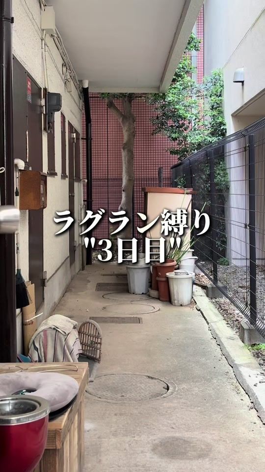 TikTok video thumbnail by tarataraoo