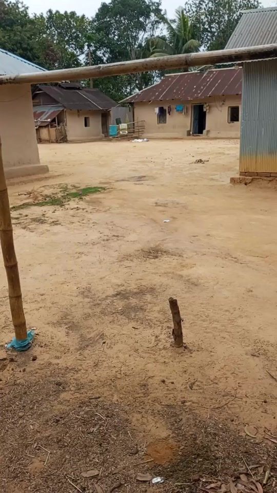 TikTok video thumbnail by bappimb170