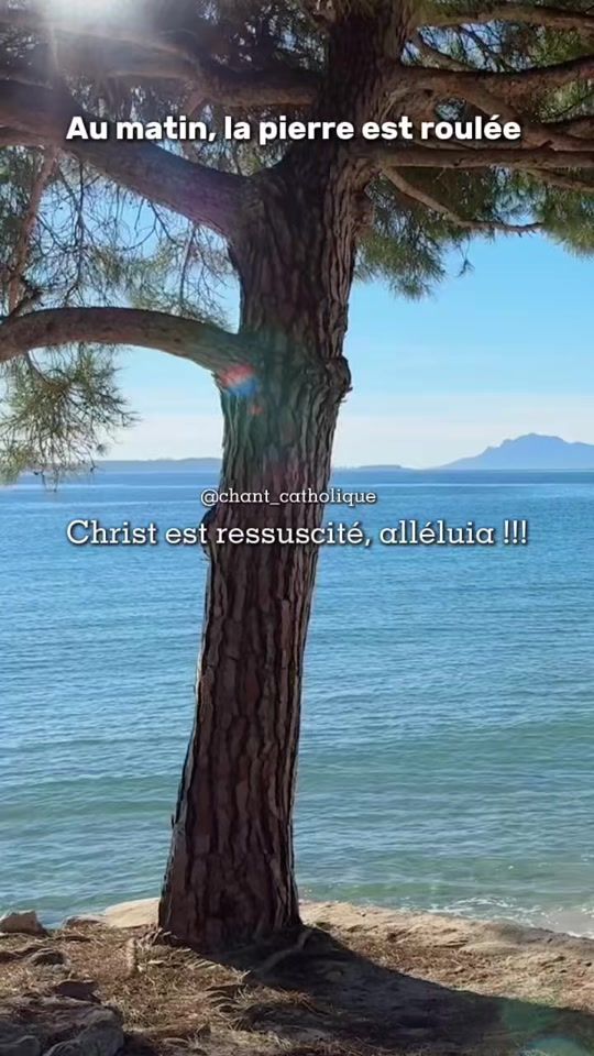 TikTok video thumbnail by chant_catholique