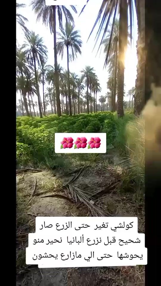 TikTok video thumbnail by r._zg