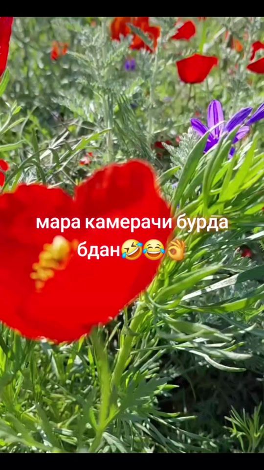 TikTok video thumbnail by s_a_b_r_168