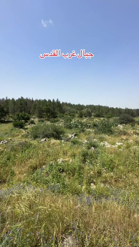 TikTok video thumbnail by user912019354